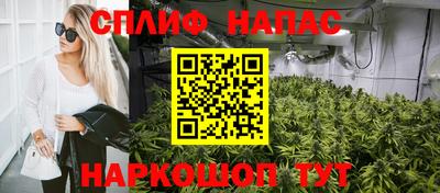 СК Тверь