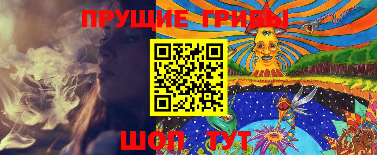 купить наркотики цена  Вход с VPN  Россошь  Галлюциногенные грибы мицелий 